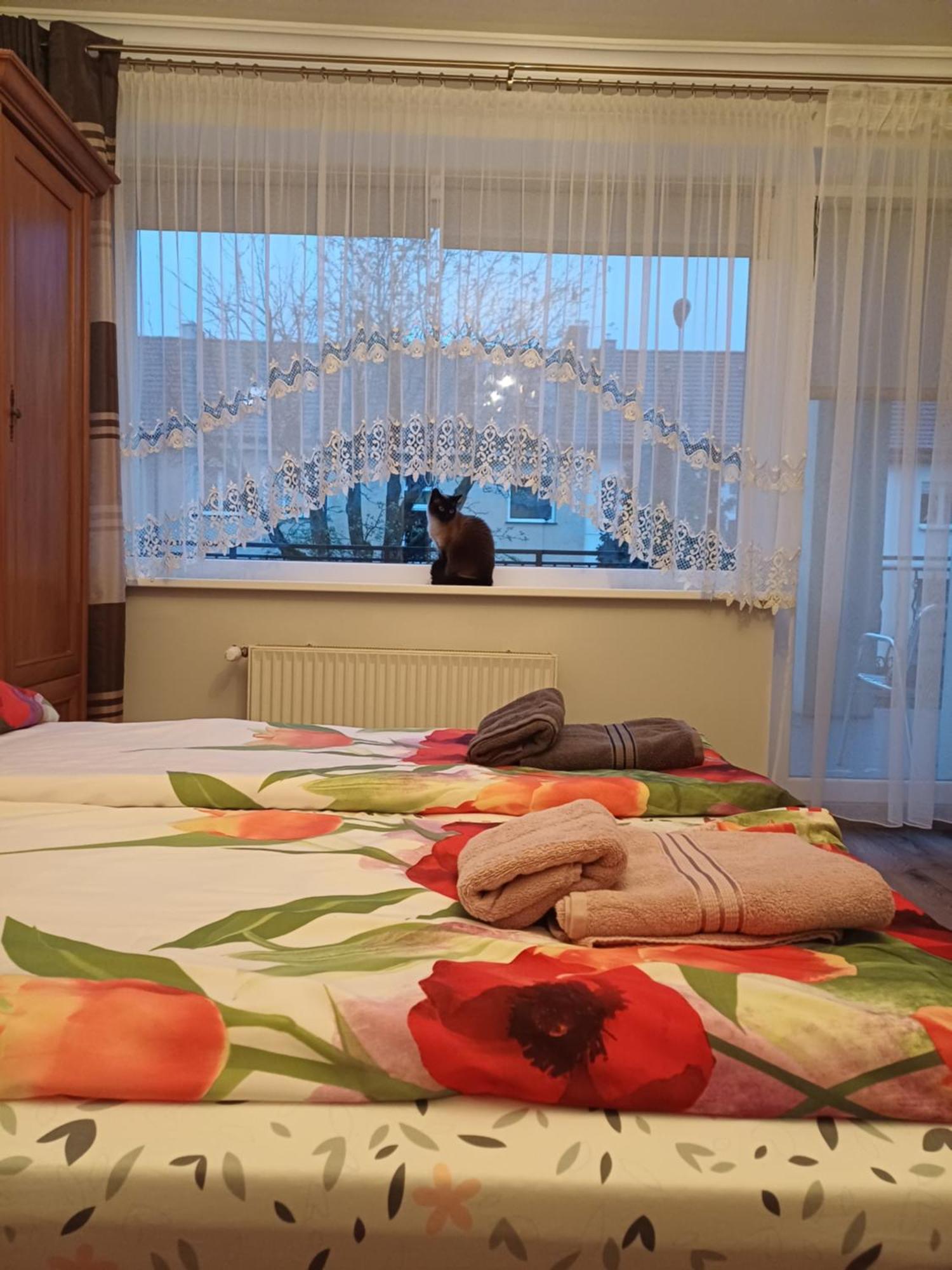 Morski Brzeg Swinemünde Exterior foto